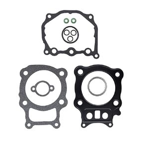 Road Passion 12191-HN5-670 12251-HN5-671 12315-HN5-671 Complete Gasket Kit Replacement for Honda TRX350TM FourTrax 350 2000-2006/ TRX350FE FourTrax 350 ES 2000-2006