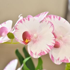 Artificial Real Touch Orchid Flowers in Pot Fake Phalaenopsis Flower with White Ceramic Vase Faux Orchids Arrangement for Home Table Office Wedding Party Decoration (Orange)