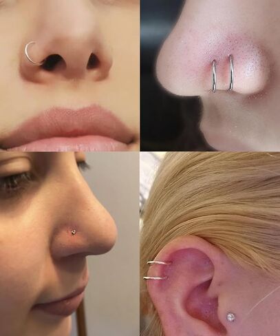 16PCS 20G 316L Stainless Steel Nose Rings Hoops for Women Men Doubule Nose Hoop CZ Push in Nose Stud Clicker Hinged Nose Hoop Piercing Jewelry in Saudi Arabia