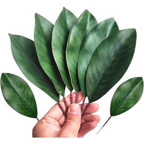 30Pcs Fake Green Leaves Artificial Magnolia Leaf for Decoration Fake Magnolia Leaves with Stems for Magnolia Garland Arrangement Natural Bookmarks Wedding Table Decoration.