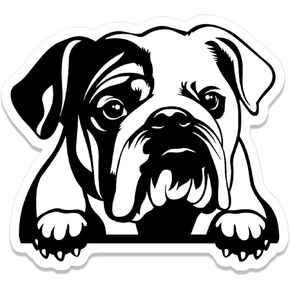 Peeking English Bulldog Sticker (2 Pack) 4" x 3.5" Peeking Bulldog with Paws Vinyl Decals for Cars, Car Windows, Water Bottles, Phones. Gift for English Bulldog Owner, Men Women