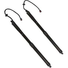 Rear Liftgate Lift Support Shock Strut Actuator Compatible with Santa Fe Sport 2013-2018 817702W600 817802W600 Tailgate Hatch Door Power Shock Strut Left & Right