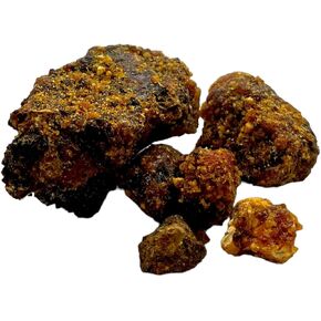 Govinda - Natural Gum Opoponax (Commiphora Erythraea) - 8 Oz