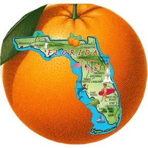 Florida Air Freshener Orange with State Map Souvenir Gift for Car or Truck with Citrus Scent