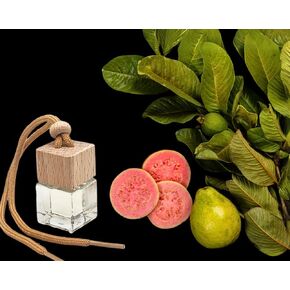 Bayabas (Guava) Hanging Car Air Freshener