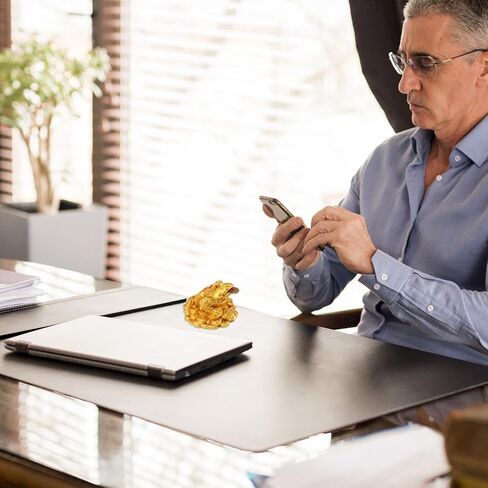 ALIBBON Feng Shui Decor Wealth Luck Ornaments Mini Golden Turtle Statue for Attracting Wealth Home Office Car Decor Turtle on Money Housewarming Gift Feng Shui Modern Decorations in Kuwait