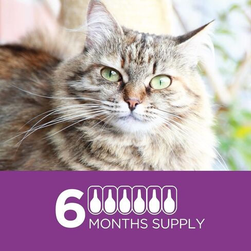 TevraPet Actispot II Flea Treatment for Large Cats 9+ lbs | 6 Doses | Powerful Prevention and Control in Saudi Arabia