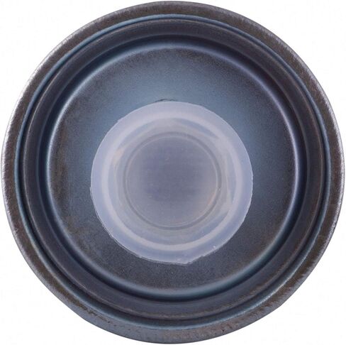 فلتر الوقود بي جي PF7315 | يناسب 2005-97 بويك ليسابر، 1997-05 سينشري، 1994-05 بارك أفينيو، 2005-97 شيفروليه كافاليير، 2000-05 إمبالا، 1997-03 ماليبو، 2005-99 بونتياك جراند آم، 1995-05 صن فاير in Kuwait