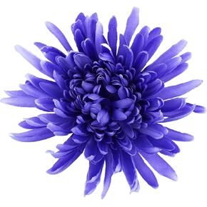8 In Extra Large Big brooch pin for women and men oversized pin for wedding guests,party,gifts for her