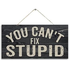 You Can't Fix Stupid Wood Sign for Home Wall Decor Funny Wall Hanging Sign Man Cave Home Counter Art Everyday Wisdom
