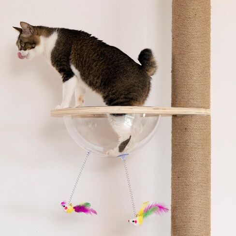Floor to Ceiling Cat Tree Accessories Hammock Accessories Cat Climbing Frame Hammock in Saudi Arabia