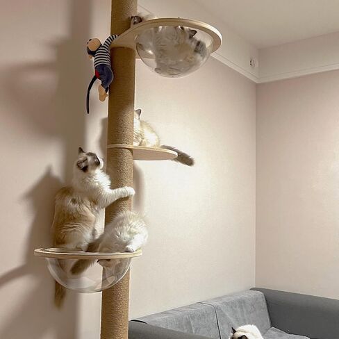 Floor to Ceiling Cat Tree Accessories Hammock Accessories Cat Climbing Frame Hammock in Saudi Arabia