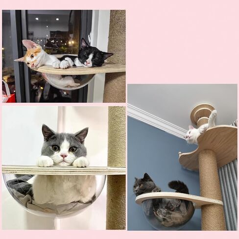 Floor to Ceiling Cat Tree Accessories Hammock Accessories Cat Climbing Frame Hammock in Saudi Arabia