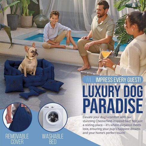 Luxury Cat Bed with Removable Washable Cover - Premium Cat Beds for Indoor Cats, Fancy Dog Bed for Small Dogs - Non Slip Cat Couch Bed, Puppy Kitten Pet Sofa in Saudi Arabia