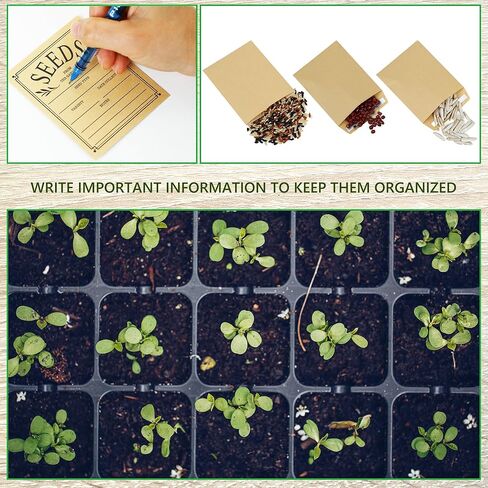 100 قطعة من مغلفات البذور من LONCHDAN، مغلفات بذور ذاتية اللصق، 4.7 × 3.1 بوصة، مغلفات حفظ بذور كرافت، أكياس بذور بنية لتخزين بذور الخضروات والزهور in Kuwait