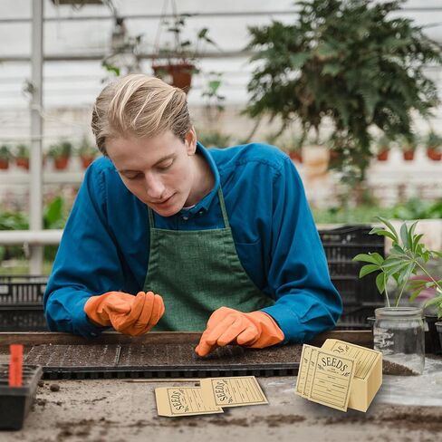 100 قطعة من مغلفات البذور من LONCHDAN، مغلفات بذور ذاتية اللصق، 4.7 × 3.1 بوصة، مغلفات حفظ بذور كرافت، أكياس بذور بنية لتخزين بذور الخضروات والزهور in Kuwait