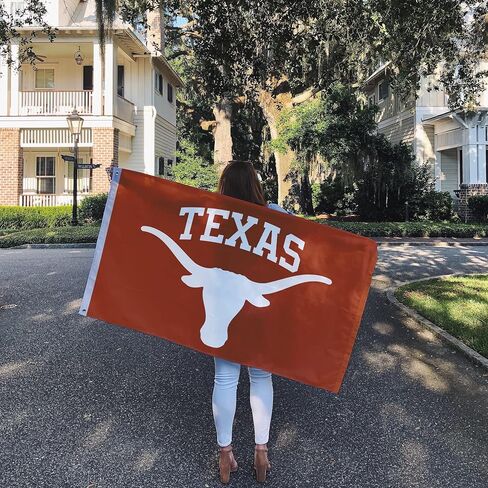 Desert Cactus University of Texas Flag Longhorns UT Austin Flags Banners 100% Polyester Indoor Outdoor 3x5 (Style 4) in Saudi Arabia