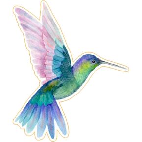 Hummingbird Sticker Size 5.9 x 4.5 in