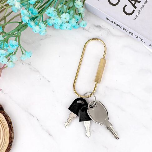 2Pcs Gold Key Ring Large Brass Screw Lock Key Ring Brass Keychain Oval Brass Lock Clip Key Holders Gold Screw Lock Clip Key Ring Chain Durable Simple Brass Keychain Holder Gold Keychain Clip Organizer in Saudi Arabia