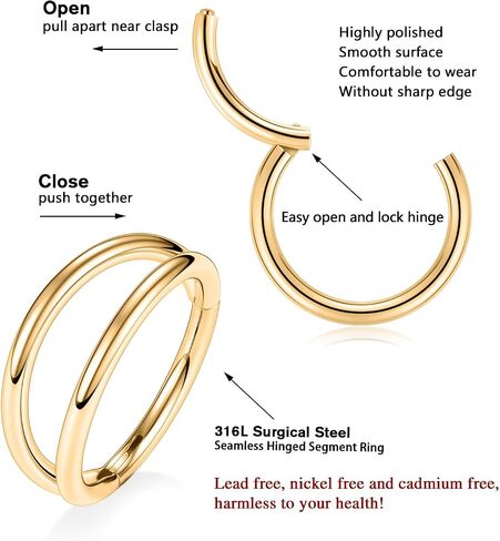 PEAKLINK Double Nose Hoop Ring Sets Hinged Segment Ring Seamless Clicker Ring 20G 18G 16G Septum Jewelry Conch Helix Cartilage Daith Rook Tragus Lobe Hoop Earrings 6mm to 12mm in Kuwait