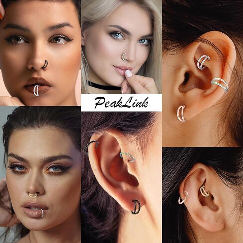 PEAKLINK Double Nose Hoop Ring Sets Hinged Segment Ring Seamless Clicker Ring 20G 18G 16G Septum Jewelry Conch Helix Cartilage Daith Rook Tragus Lobe Hoop Earrings 6mm to 12mm in Kuwait