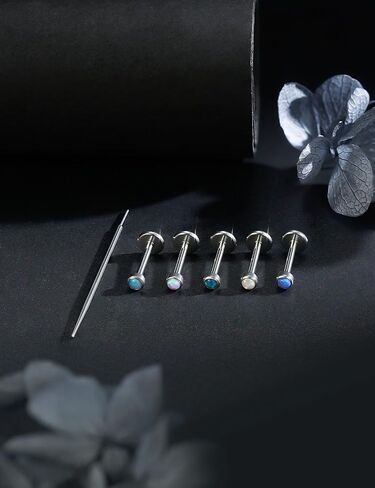 20G 18G 16G Titanium Threadless Flat Back Earrings Nose Ring Studs Tragus Labret Medusa Piercing Jewelry G23 Monroe Lip Ring Snake Bite Forward Helix Conch Cartilage Earrings Piercing Jewelry in Kuwait