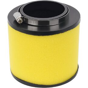 Road Passion Air Filter 17254-HP0-A00 Replacement for Honda Rincon 680 4x4 (TRX680FA) 2006-2017/ Rincon 680 4x4 GPScape (TRX680FGA) 2006-2009