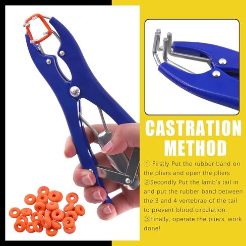 121 Pcs Bander Snap Pliers with 120 Pcs Rubber Rings, Multi Function Filling Pliers, Balloon Expander Tool Snap Pliers in Saudi Arabia