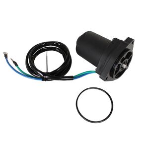 Boat Engine 63P-43880-10/01 63P-43880-11 63P-43880-21 63P-43880-22 6KW-43880-00/01 Tilt Trim Motor for Yamaha 130HP 150HP 175HP 200HP 225HP 250HP, fit Arrowhead TRM0111, fit Arco 6293/ J & N 430-22162