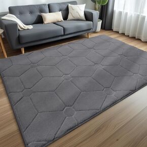 Sour Lemon 8x10 Area Rugs for Living Room, Soft Large Area Rug Fluffy Grey Rugs for Bedroom，Machine Washable Area Rug Non Slip Carpet Rugs for Living Room Playroom Kids Room Home Decor