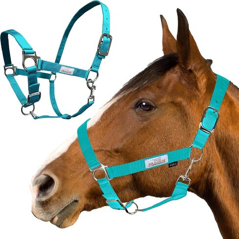Prairie Horse Supply Nylon Horse Halter, 1 inch Wide, Heavy Duty, Adjustable in Saudi Arabia