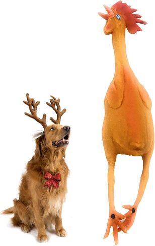 Extra Large Rubber Chicken Dog Toys Natural Rubber (Latex) Lead-Free Chemical-Free Complies to Same Safety Standards as Children’s Toys Soft Unstuffed Squeaky in Saudi Arabia