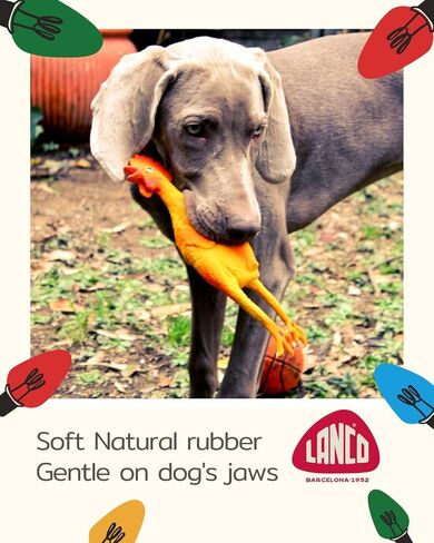 Extra Large Rubber Chicken Dog Toys Natural Rubber (Latex) Lead-Free Chemical-Free Complies to Same Safety Standards as Children’s Toys Soft Unstuffed Squeaky in Saudi Arabia