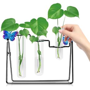 Hydroponic Vase for Decor, 12 Inch Plant Glass Vase with Metal Stand, Propagation Vases for Plants Decorative for Home Decor Living Room Office Table, Plant Holder Ideal Gifts