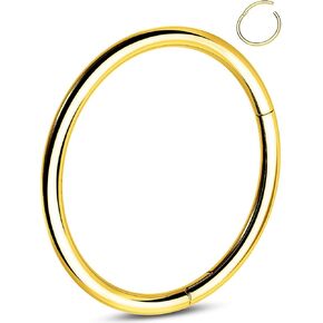 OUFER G23 Titanium Nose Rings Clicker Hoop Cartilage Earrings Silver Gold Helix Piercing jewelry 20G Daith Rook Conch Hinged Nostril 0.8mm for Men Women Gift