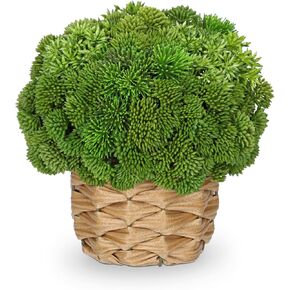 Briful Succulent Plants Artificial Large Fake Succulent Arrangement with Rattan Basket Planter Faux Plants Indoor for Home Office Room Table Centerpiece Shelf Decor