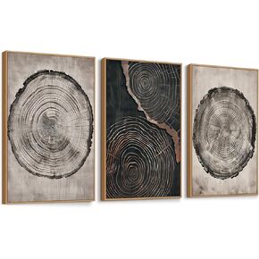QICIFA Neutral Floral Framed Canvas Wall Art Set of 3, 16"x24" Large Boho Botanical Wall Decor, Minimalist Plant Wall Painting, Rustic Wildflower Artwork for Living Room Bedroom Farmhouse Office