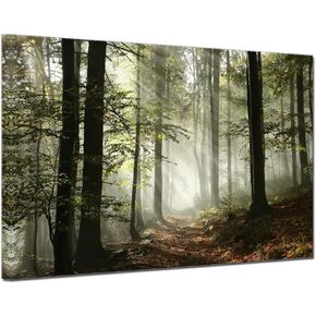 Forest Canvas Wall Art Trees Foggy Morning Spring Rustic Landscape for Bedroom Bathroom Decorations Modern Artwork Print Framed Painting Living Room Home Office Wall Décor 12x16inch