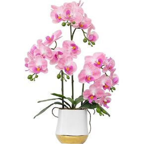 Artificial Orchid Flowers Set Fake Phalaenopsis Flower Faux Butterfly Orchid Real Touch Orchid for Wedding Home Office Party Hotel Yard Decoration Restaurant
