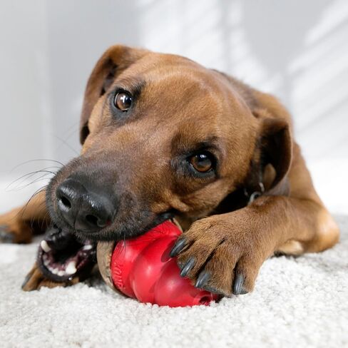 KONG Classic Stuffable Dog Toy & KONG Marathon Peanut-Butter-Flavored Treats (2 Pack) - Fetch & Chew Toy for Dogs - With Dog Toy Filler Treat - For Hours of Fun & Enrichment - For Medium Dogs in Saudi Arabia
