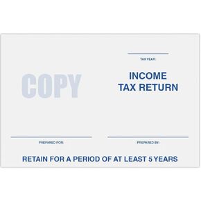 LUXPaper 6 x 9 Booklet Envelopes | Income Tax Return | Bright White | 24lb. Text | 250 Qty in Kuwait