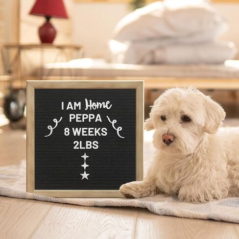 Alsonerbay Felt Letter Board 10x10 Inch Changeable Oak Frame Wooden Message Board Sign with Precut Letters Numbers & Symbols for Baby Announcement Milestones Classroom Wifi Password Black in Saudi Arabia