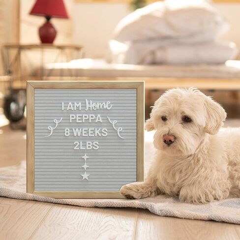 Alsonerbay Felt Letter Board 10x10 Inch Changeable Oak Frame Wooden Message Board Sign with Precut Letters Numbers & Symbols for Baby Announcement Milestones Classroom Wifi Password Black in Kuwait