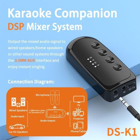 Wireless Microphones Karaoke Machine，Karaoke Companion，Karaoke Mixer System, Dual Handheld, Smart TV, PC, Speaker, Amplifier, Church, Wedding - Support AUX in/Out (White) in Saudi Arabia