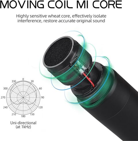 D Debra Wireless Microphone System Audio Dual Cordless Dynamic Handheld Mic with Rechargeable Receiver, for Karaoke Singing, Wedding, DJ, Party, Speech, Church, Class Use, 200ft (VP-04) in Kuwait