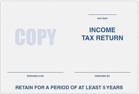LUXPaper 6 x 9 Booklet Envelopes | Income Tax Return | Bright White | 24lb. Text | 250 Qty in Saudi Arabia