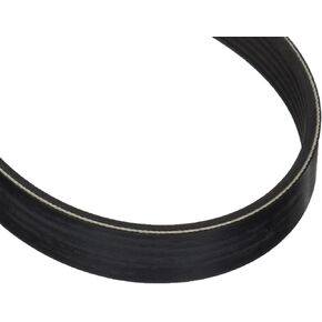 Motorcraft Drive Belt