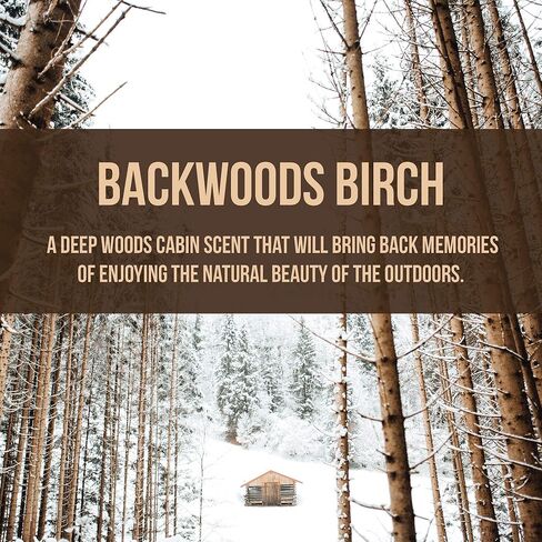 Arotags Wooden Car Air Fresheners - Long Lasting Backwoods Birch Scent Diffuses for 365+ Days - Includes Mountain Adventurer Hanging Mirror Diffuser and Fragrance Oil - 100% American Made in Kuwait