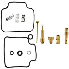Carburetor Repair Kit Replacement for Honda CMX250C 1986-2012 0201-318