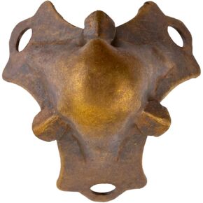 Medium Antique Brass Plated Trunk Corner Protector | Furniture Corner Guard Hardware for Small Trunk, Jewelry Box, Musical Speaker | CK1-SAB (4)